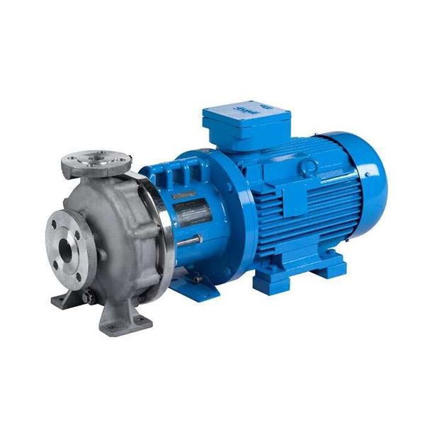 Samousisna Mag Drive Pumpa